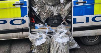 Police burn bags of cannabis plants uncovered from huge growing farm worth £750k - manchestereveningnews.co.uk - Manchester - Germany