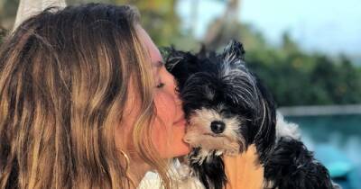 Gisele Bundchen, Nina Dobrev and More Celebs Can’t Get Enough of Their Furry Friends - www.usmagazine.com - Wisconsin