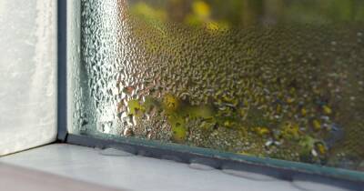 How to get rid of condensation on windows with easy three-minute trick - www.ok.co.uk - Germany
