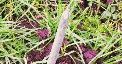 Residents find NAILS hidden in grassy area used by children - with sick warning attached to them - www.manchestereveningnews.co.uk