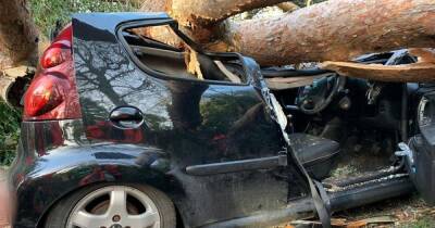 Trapped woman rescued after huge tree crushes her car during Storm Malik - www.manchestereveningnews.co.uk - Manchester