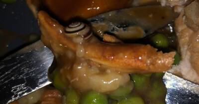 Woman horrified after discovering snail in Toby Carvery roast dinner - www.dailyrecord.co.uk