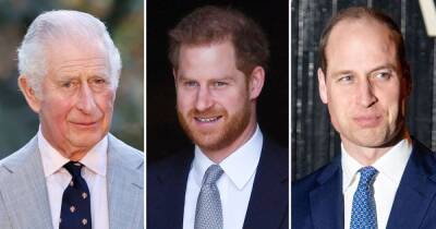prince Harry - William - Charles Princecharles - Williams - Prince Charles Praises Sons Harry and William for Their Work on Climate Change: ‘I’m Proud’ - usmagazine.com - Jordan - Barbados - Egypt