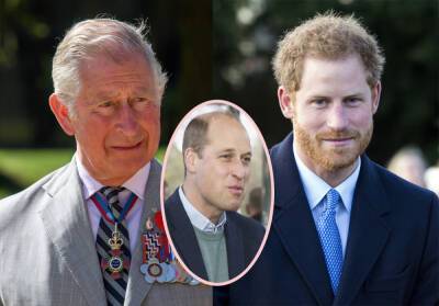 Royal Olive Branch! Prince Charles Said THESE Kind Words About Harry In New Essay! - perezhilton.com