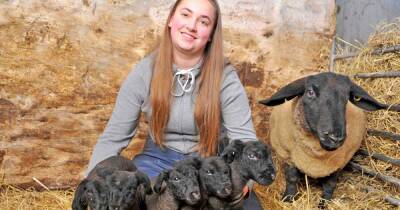 Dumfriesshire farming family stunned by arrival of five lambs - dailyrecord.co.uk - Netherlands