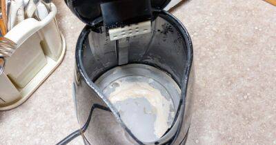 Expert shares £1.60 kettle cleaning hack - and says you should never use vinegar - www.dailyrecord.co.uk - county Russell