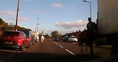 Footage shows teen horse rider 'millimetres from death' after colliding with side of lorry - www.manchestereveningnews.co.uk