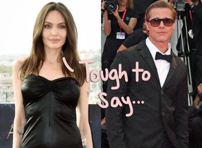 Brad Pitt - Angelina Jolie - Angelina Jolie's VERY Emotional Email To Brad Pitt About 'Painful' Decision To Sell Winery Resurfaces! - perezhilton.com - France - California