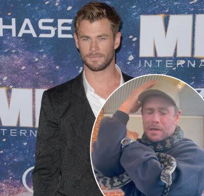OMG! Chris Hemsworth Shares Scary Video Of A Snake Wrapping Itself Around His Neck!! - perezhilton.com