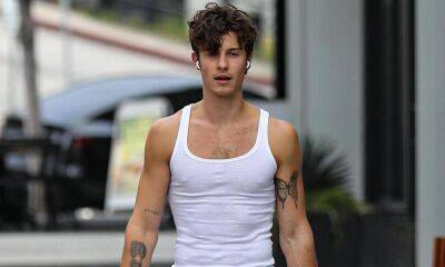 Shawn Mendes looks hot & toned after his workout - us.hola.com