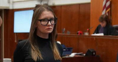 Anna Delvey thinks she deserves 'a second chance' - www.msn.com - New York - USA - New York - Germany
