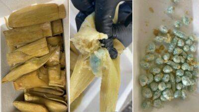 Arizona Border Patrol agents seize 2,100 fentanyl pills hidden inside tamales: official - foxnews.com - Mexico - Arizona