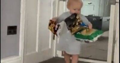 Tot goes viral after mum catches her raiding snack cupboards in hilarious clip - www.dailyrecord.co.uk