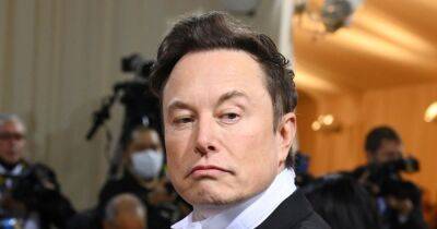Elon Musk Debuts New ‘Burnt Hair’ Perfume: ‘The Essence of Repugnant Desire’ - www.usmagazine.com