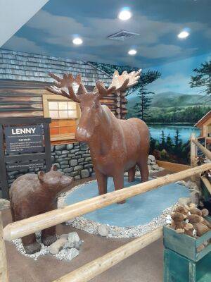 Chocolate moose, anyone? Maine attraction, made of confectionary staple, turns 25 - foxnews.com - Indiana - state Maine