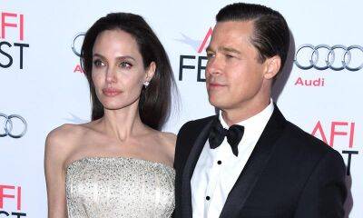 Brad Pitt - Angelina Jolie - Nick Cave - Brad Pitt details difficult moments after split from Angelina Jolie: ‘Those I may have hurt’ - us.hola.com