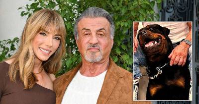 Sylvester Stallone and wife Jennifer 'keeping rottweiler' as they reconcile after split - www.msn.com - New York