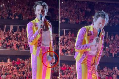 Harry Styles doubles over after being hit in groin with bottle on stage: ‘That’s unfortunate’ - nypost.com - California - Chicago