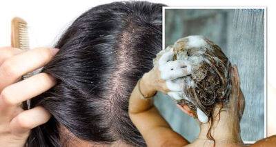 Hair: The 'only' time you should wash your hair - expert tips for a 'healthy scalp' - www.msn.com