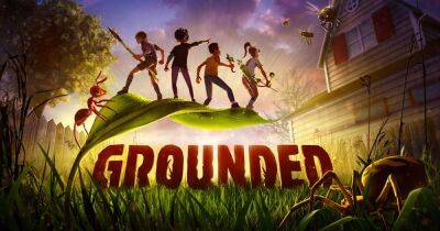 Grounded: How to play the back garden co-operative survival game and is it cross-play? - manchestereveningnews.co.uk