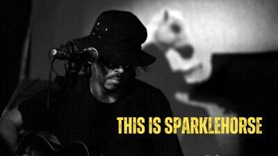 ‘This Is Sparklehorse’ Trailer: New Indie Rock Doc Features David Lynch, Members Of Grandaddy, Metric & More - theplaylist.net