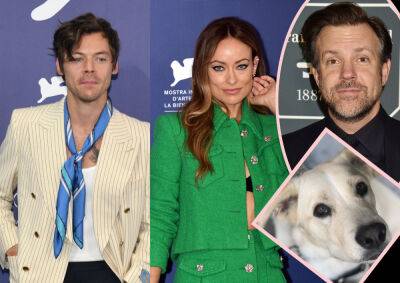 Olivia Wilde Was 'An Addict' For Harry Styles While Still With Jason Sudeikis -- And Even Gave Up Her Dog For Him?! - perezhilton.com