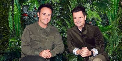 I'm A Celebrity responds to claims insecticide is used in the jungle - www.msn.com - Australia