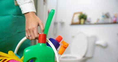 Simple hack to clean your toilet without using 'unsanitary' brush or bleach - www.dailyrecord.co.uk - county Johnson