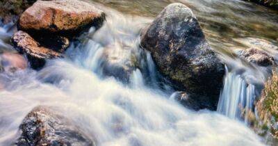 Scots photographer snaps image of 'woman's face' in Cairngorms stream - www.dailyrecord.co.uk - Scotland