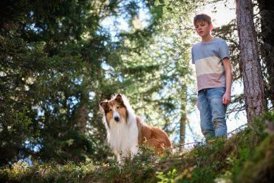 Global Screen Boards Sales On ‘Lassie – A New Adventure’, Releases First Image Ahead Of AFM - deadline.com - Germany - Berlin