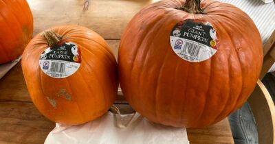 Evening News - Morrisons accused of 'robbing shoppers' with 'bonkers' price of giant pumpkins - dailyrecord.co.uk - Manchester - Beyond