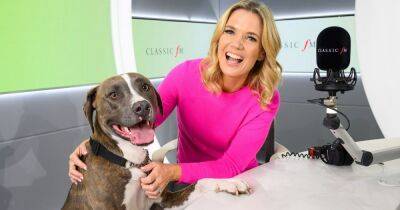 Classic FM to play relaxing music for animals this Bonfire Night - www.dailyrecord.co.uk - county Hawkins - Charlotte, county Hawkins