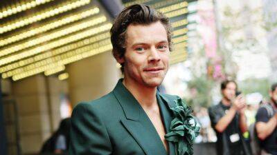 Harry Styles Debuts a Bushy, Cast Away-Style Beard in His New Music Video—Photos - www.glamour.com