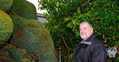 Gardener who turned 10ft hedge into giant middle finger now wants to 'burn it down' - www.dailyrecord.co.uk - Birmingham - Beyond