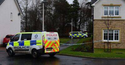 Two men to face trial accused of attempted murder in Cumbernauld estate that killed dog - www.dailyrecord.co.uk - Scotland - Beyond