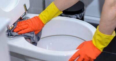 The 47p ingredient that can help remove ‘tough’ toilet limescale - dailyrecord.co.uk