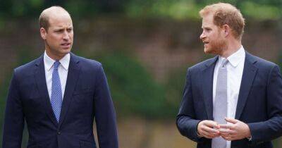 Prince Harry gave blunt two-word answer to reject meeting with brother William, claims book - www.dailyrecord.co.uk - South Africa