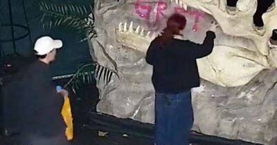 GlasGLOW share CCTV footage of eco-activist vandals spraying obscene graffiti on light display - www.dailyrecord.co.uk