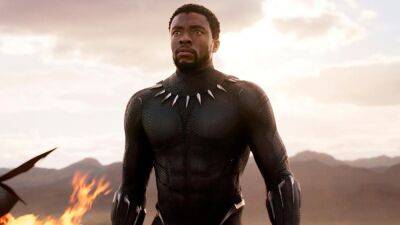 'Wakanda Forever' trailer shares a glimpse at new mystery character in the 'Black Panther' suit - www.foxnews.com - county San Diego
