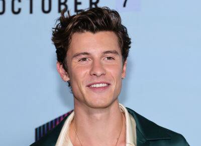 Shawn Mendes - Rachel Smith - Voice - Shawn Mendes On How He’s Feeling After Canceling His World Tour To Focus On His Health - etcanada.com