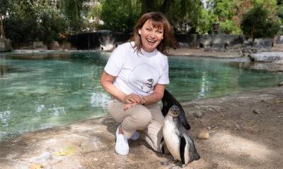 Lorraine Kelly - Lorraine Kelly's sweet moment with penguin at London Zoo - hellomagazine.com - Antarctica