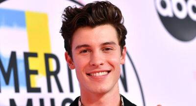 Shawn Mendes' 'Carried Away' Song Teaser Revealed! - www.justjared.com