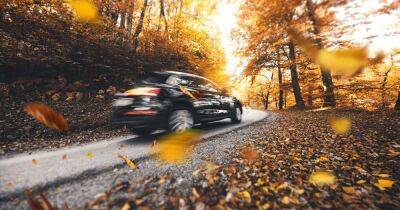 Tiktok - Warning as autumn leaves could damage your car - how to prepare vehicle for colder seasons - dailyrecord.co.uk - Scotland