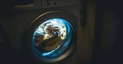 UK households to be paid to use washing machines at night in blackout warning - www.dailyrecord.co.uk - Britain - Ukraine - Russia - Beyond