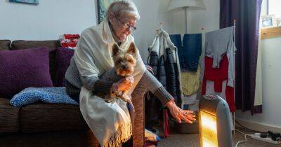 Scots OAP too scared to turn on gas heating curls up with dog to stay warm - dailyrecord.co.uk - Britain - Scotland