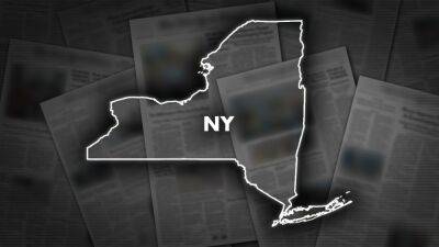 NY state police superintendent resigns amid internal investigation - www.foxnews.com - New York - city Albany