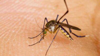 Indiana residents warned about mosquito-borne virus - www.foxnews.com - Indiana