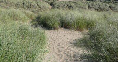 The gorgeous beach with sand dunes and a woodland walk just over an hour from Manchester - www.manchestereveningnews.co.uk - Britain - Manchester