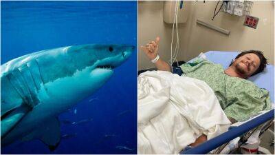 California man attacked by great white shark recounts terrifying moment: 'My worst fear' - foxnews.com - California - county Santa Cruz
