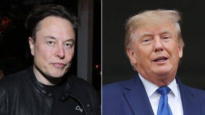 Trump’s Truth Social Is a ‘Rightwing Echo Chamber,’ Elon Musk Says: ‘Might as Well Call It Trumpet’ - thewrap.com